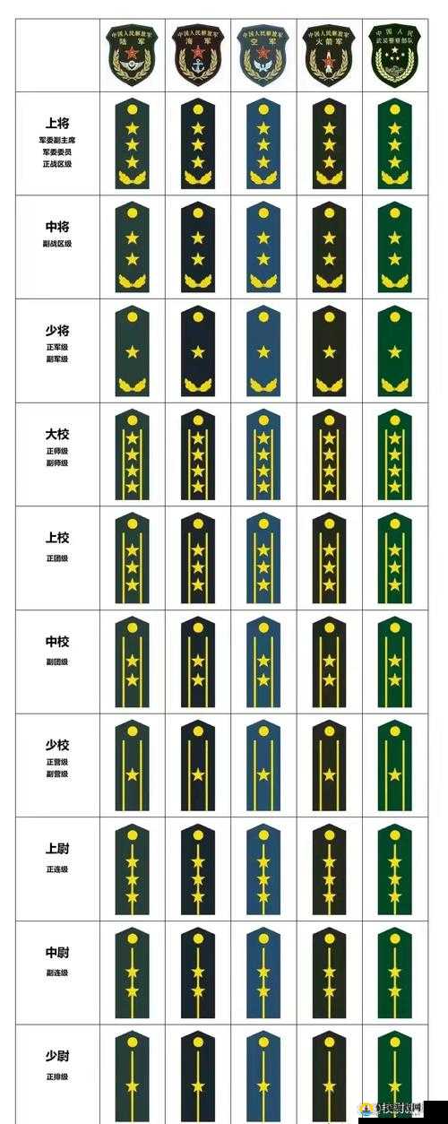 兵人大战全面军官介绍及高效搭配策略推荐指南