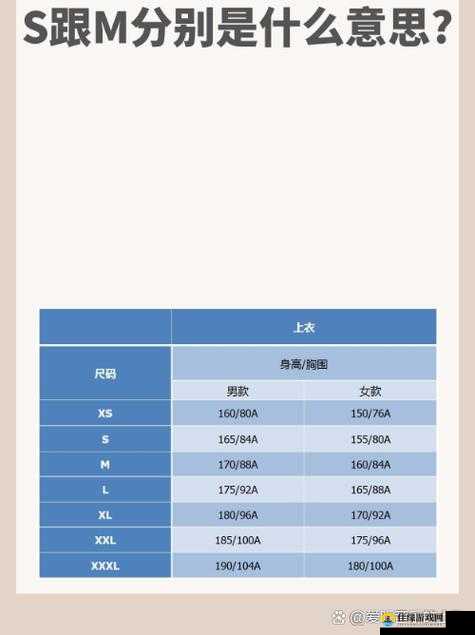 亚洲 M 码欧洲 S 码 SSS222：探索尺码差异背后的文化密码